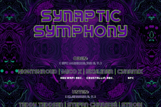 Synaptic Symphony